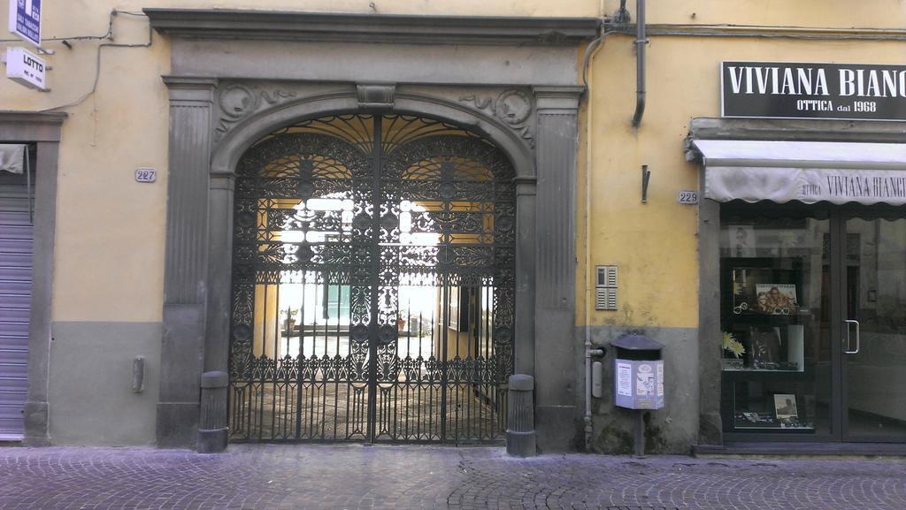 Yourhomeinlucca Le Palme Rom bilde